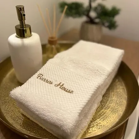 Barros' House Chaves