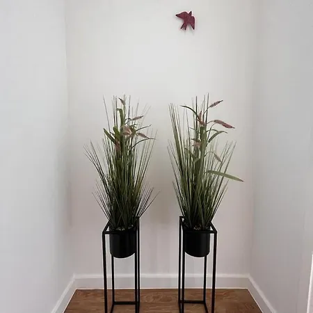 Apartamento Barros' House