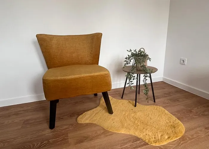 Apartment Barros' House