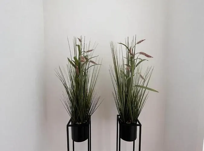 Apartment Barros' House