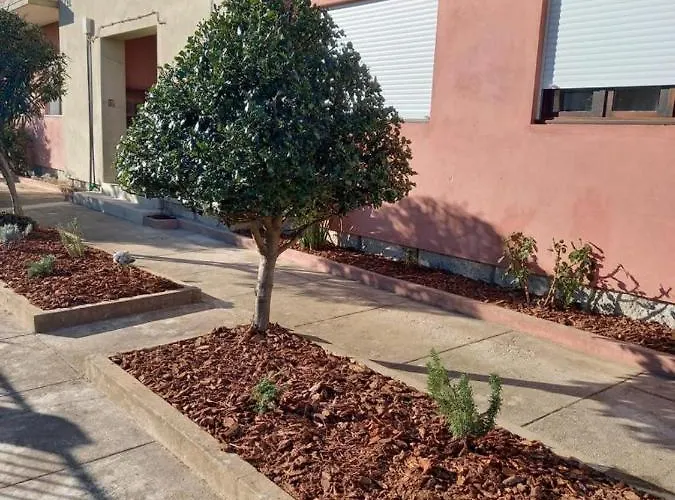 Barros' House Chaves