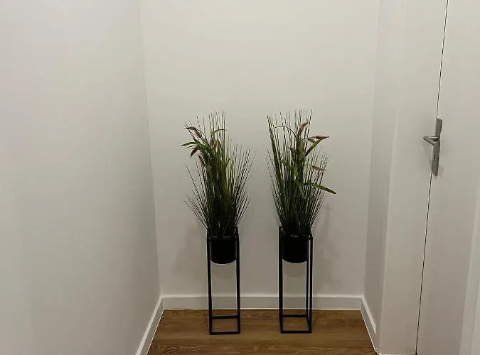 Barros' House Chaves